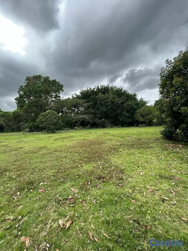 solares y terrenos - FINCA PARA DESARROLLO Y GANADERIA DE ALTO VALOR PR 4