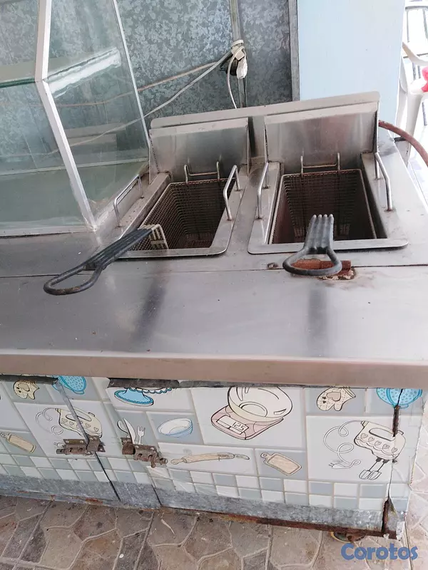 equipos profesionales - Carrito de frituras, empanadas o pollo.  5