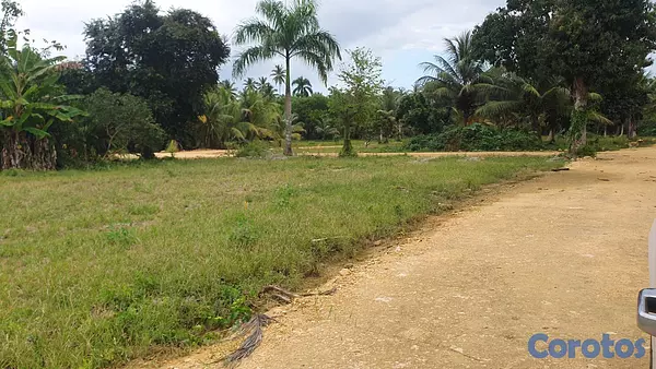 solares y terrenos - Solares en Nagua 5