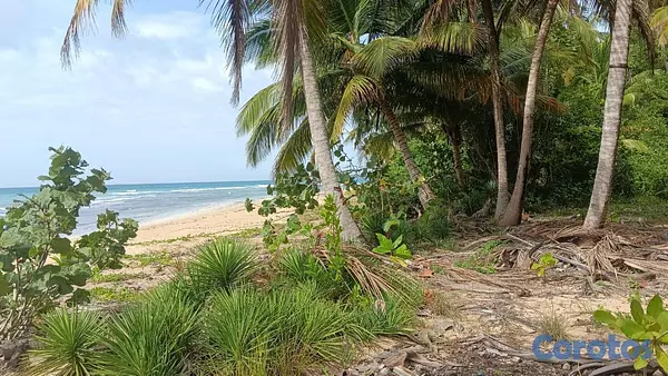 solares y terrenos - En Venta Solar en Playa Coson Samana 1