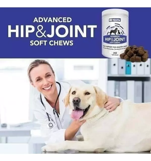 Salud y Equipamiento Médico - Glucosamina Condroitina Con Tumeric Para Perros - 250 Dosis 4