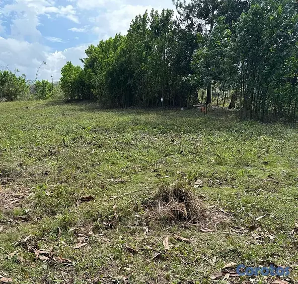 solares y terrenos - Lotes (terrenos) campestre En Los Mogotes, Villa Altagracia, En Proyecto Cerrado 5