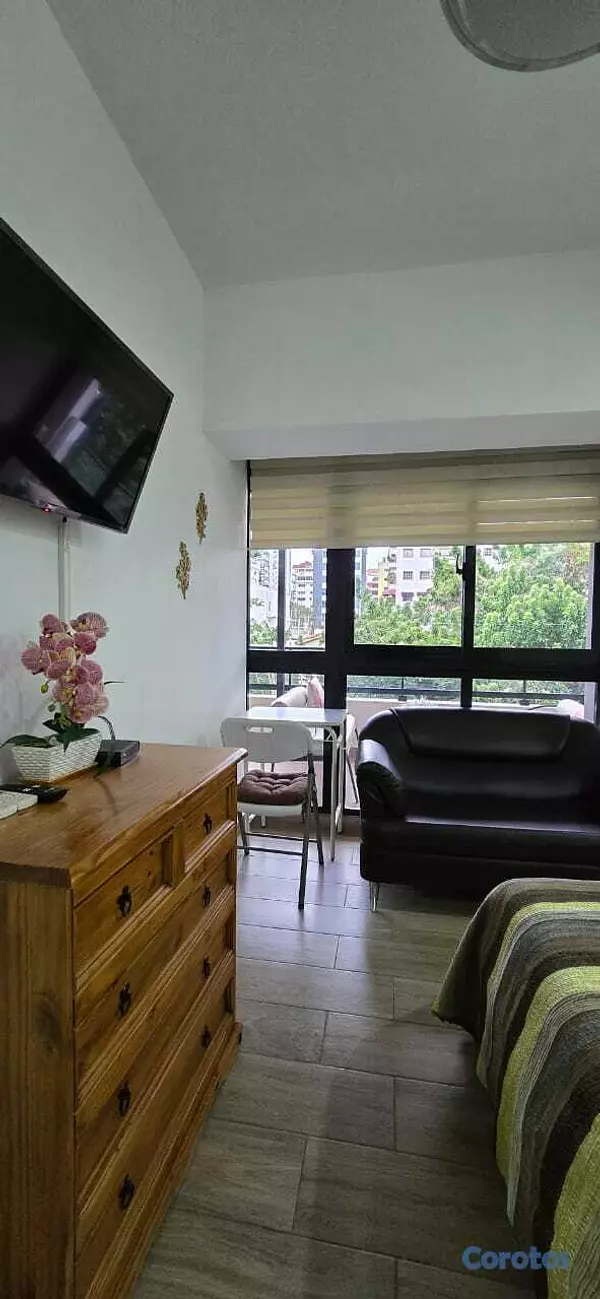 apartamentos - ALQUILO APTO DE 1 HABITACION EN MIRADOR NORTE 10