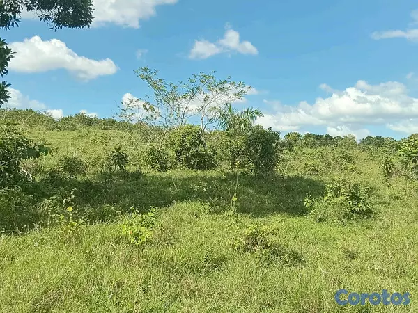 solares y terrenos - finca de 37o tareas en sabana grande de boya  2