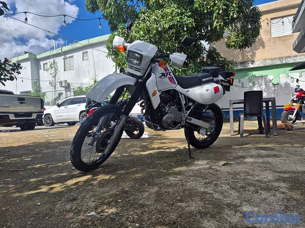 motores y pasolas - Honda XR650L2 2024 5
