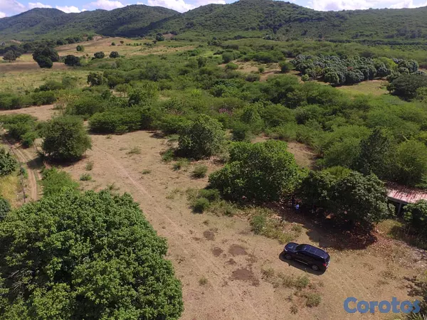 solares y terrenos - Finca en Bani 189.5 Tareas Titulo Definitivo   3