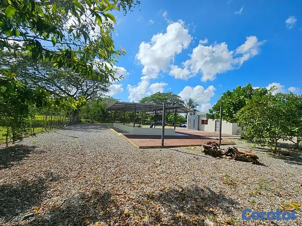 solares y terrenos - Gran Finca Ganadera en San Francisco de Macoris de 6