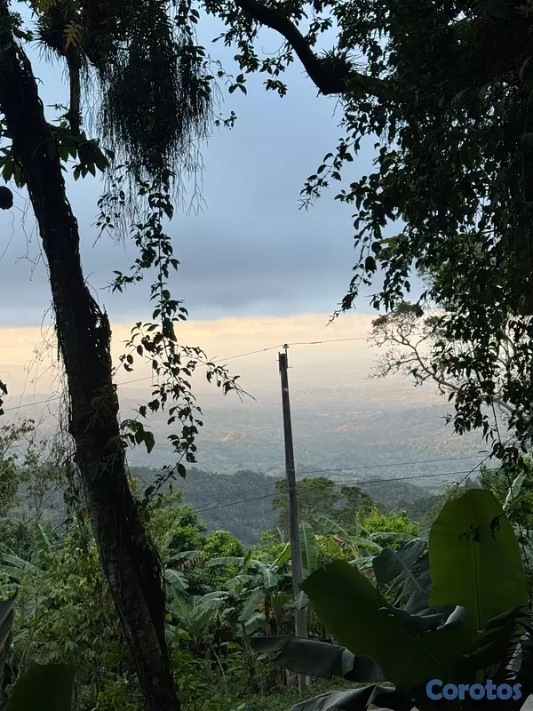solares y terrenos - Solares en la montaña con vista a puerto plata  3