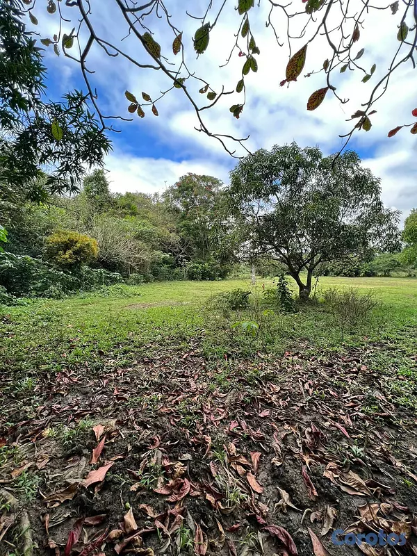 solares y terrenos - FINCA PARA DESARROLLO Y GANADERIA DE ALTO VALOR PR 7