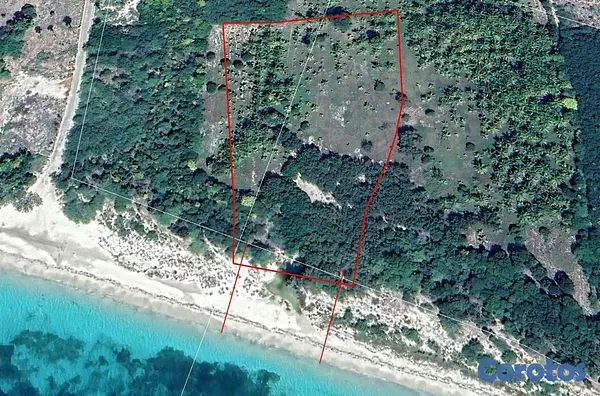 solares y terrenos - Solar con Playa en pedernales con mil mata de Coco 4