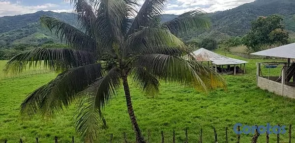 solares y terrenos - finca ganadera  en la Vega  3