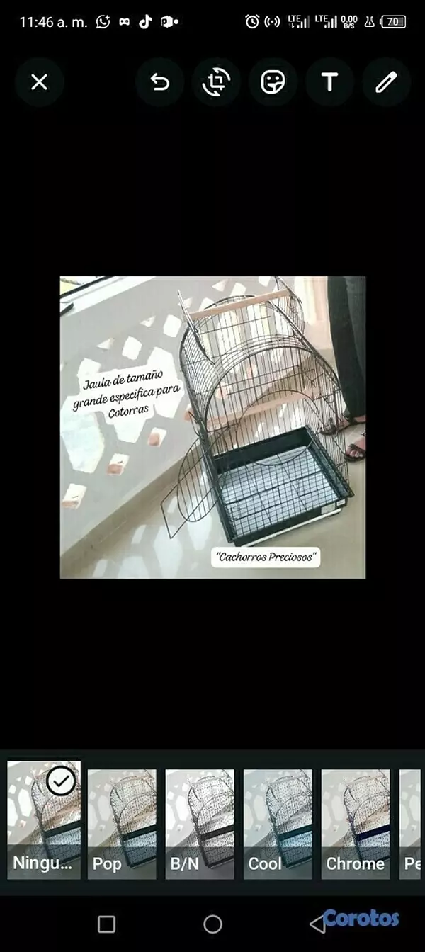 animales y mascotas - Jaula grande para Aves ... 4
