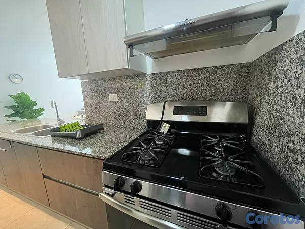apartamentos - Apartamento Alquiler Naco Amueblado UNA Habitación 6
