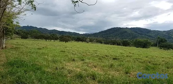 solares y terrenos - finca ganadera  en la Vega  4