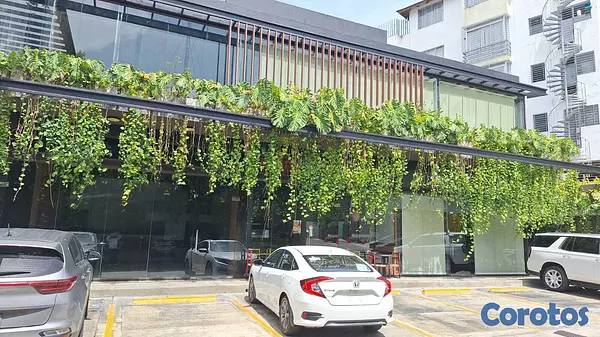 oficinas y locales comerciales - Local en Arroyo Hondo Viejo primer nivel 9