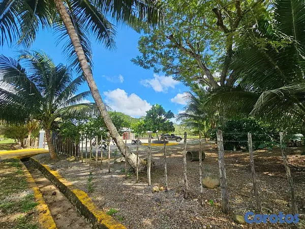 solares y terrenos - Gran Finca Ganadera en San Francisco de Macoris de 7