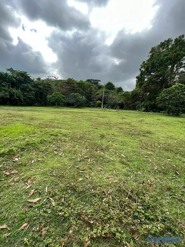 solares y terrenos - FINCA PARA DESARROLLO Y GANADERIA DE ALTO VALOR PR 10