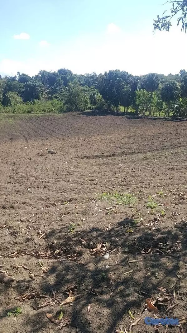solares y terrenos - Venta de finca con edificación comercial residencial
precio por metro cuadrado 3