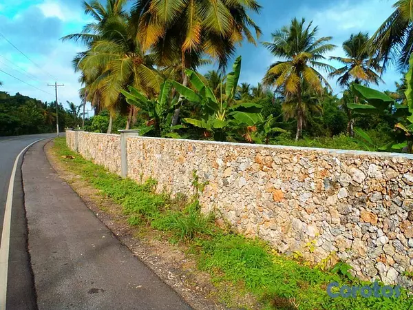 solares y terrenos - terreno a orilla del mar en samana 3