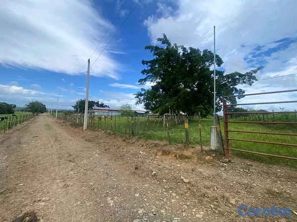 solares y terrenos - finca por secciones en Monte Plata  6