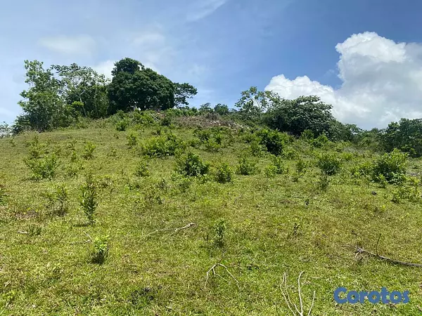 solares y terrenos - Terreno en venta con potencial para proyectos 5