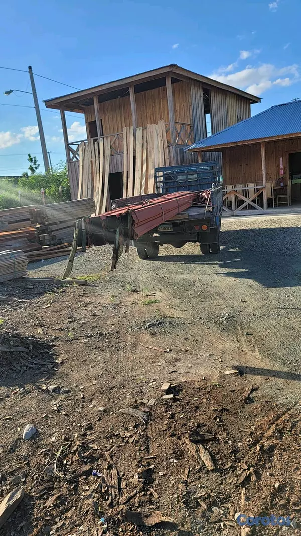 servicios profesionales - transporte nuñez 7