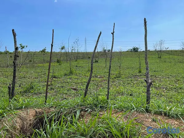 solares y terrenos - Venta De Terreno Carretera Mella A Pocos Metros De 2