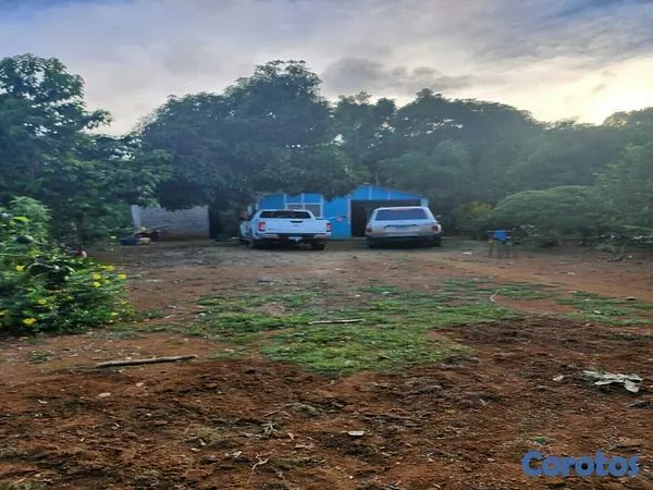 solares y terrenos - DE OPORTUNIDAD!!!
VENDO HERMOSA FINCA DE 100 TAREAS,  NARANJA AGRIA Y CACAO  1