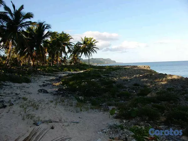 solares y terrenos - terreno a orilla del mar en samana 4