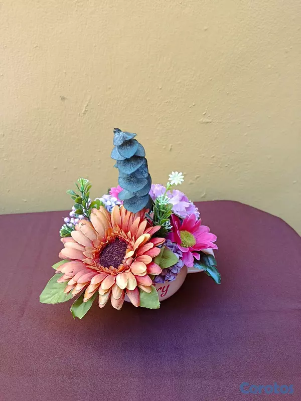 servicios profesionales - Tazas personalizadas para mamá  5