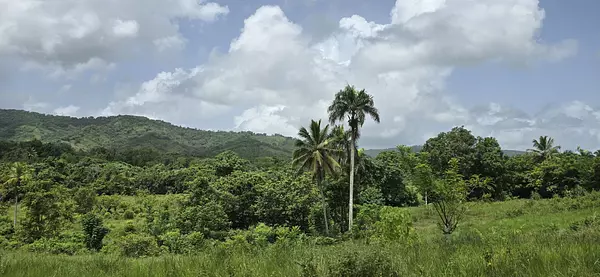 solares y terrenos - Terreno en Venta en Hato Viejo Yamasá desde 1,000 Mts, con vista hacia el Rio  9