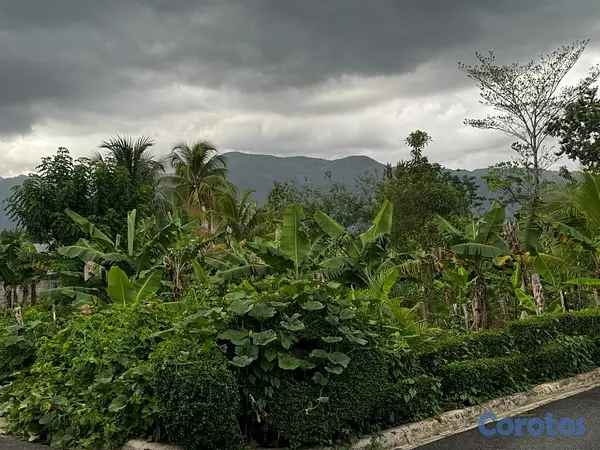 solares y terrenos - Solar en venta Zona Céntrica 8