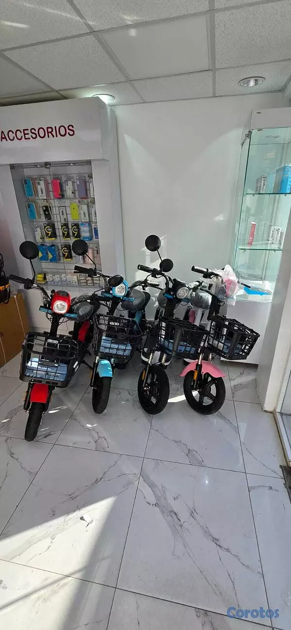 motores y pasolas - MOTOR ELECTRICO 2