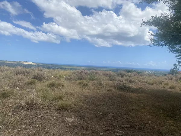 solares y terrenos - terreno de 9,500 mts para proyecto  2