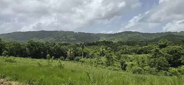 solares y terrenos - Terreno en Venta en Hato Viejo Yamasá desde 1,000 Mts, con vista hacia el Rio  7