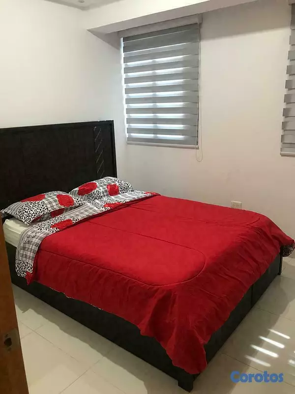 apartamentos - Apartamento en alquiler amueblado  3
