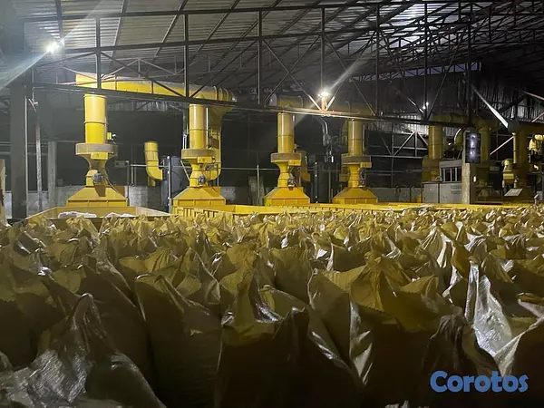 solares y terrenos - Finca de 4075 tareas en Cibao de Cacao  10