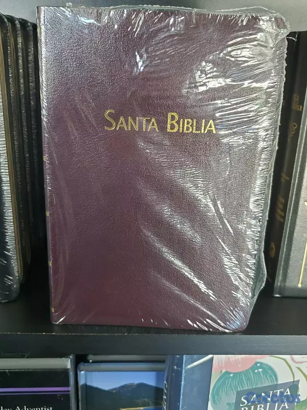 libros y revistas - Vendo Biblias. 2