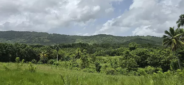 solares y terrenos - Terreno en Venta en Hato Viejo Yamasá desde 1,000 Mts, con vista hacia el Rio  8
