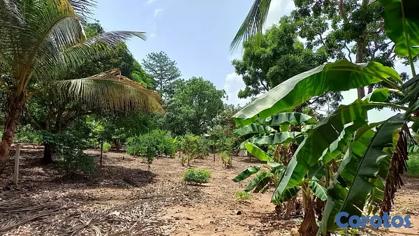 solares y terrenos - Solar en venta en los mogotes de Villa Altagracia República Dominicana de 5000m2 5