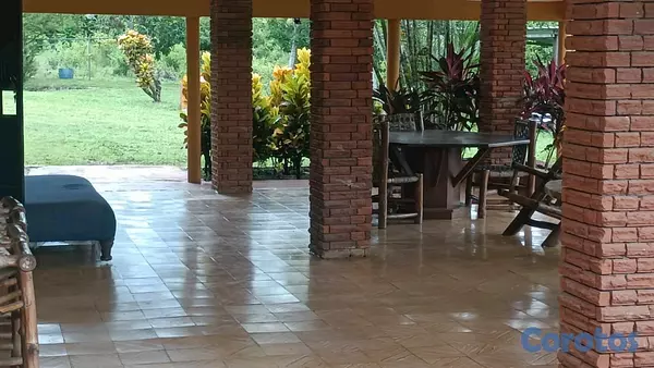 otros inmuebles - excelente finca de 50 tareas en Santo Domingo  7