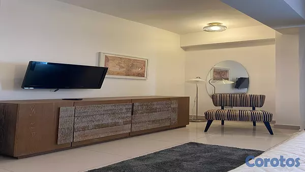 apartamentos - Alquiler de 1 habitación amueblado en Piantini 10