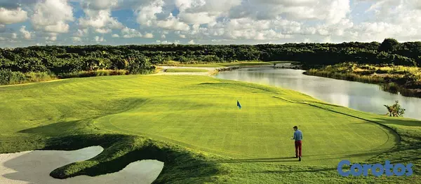 casas vacacionales y villas - Villa de Lujo Frente a la Costa en Playa Nueva Romana 4