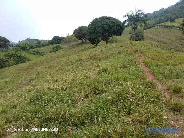 solares y terrenos - finca de 450 tareas con vocación ganadera en yamasa  17