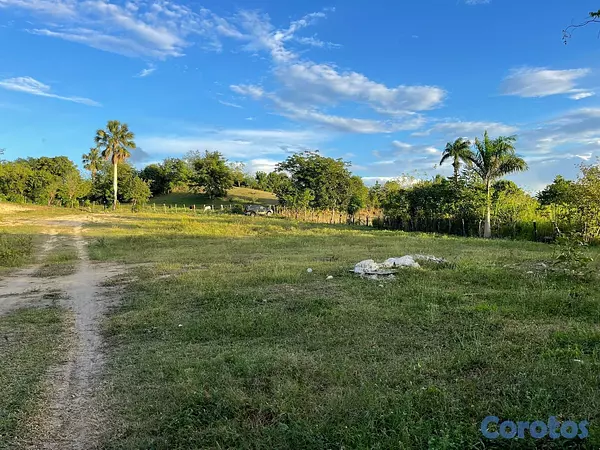 solares y terrenos - Solar en venta - Puerto Plata 2