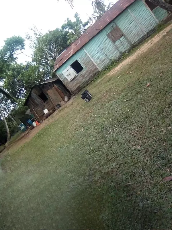 solares y terrenos - Finca en venta  3