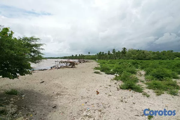 solares y terrenos - Gran Solar con Playa privada en Playa Nueva Romana 2