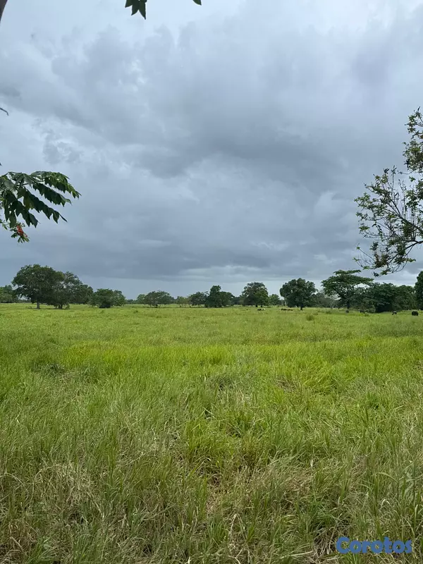 solares y terrenos - Finca Ganadera en Cotui de 800 tareas  8