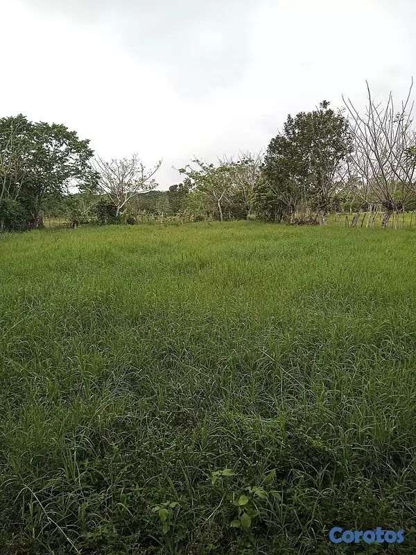 solares y terrenos - Finquita Ganadera en hatillo Monte Plata a Diez Mi 5