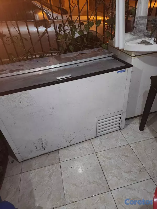 equipos profesionales - Vendo freezer 3
